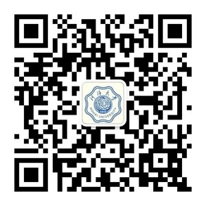 栏目用于追新