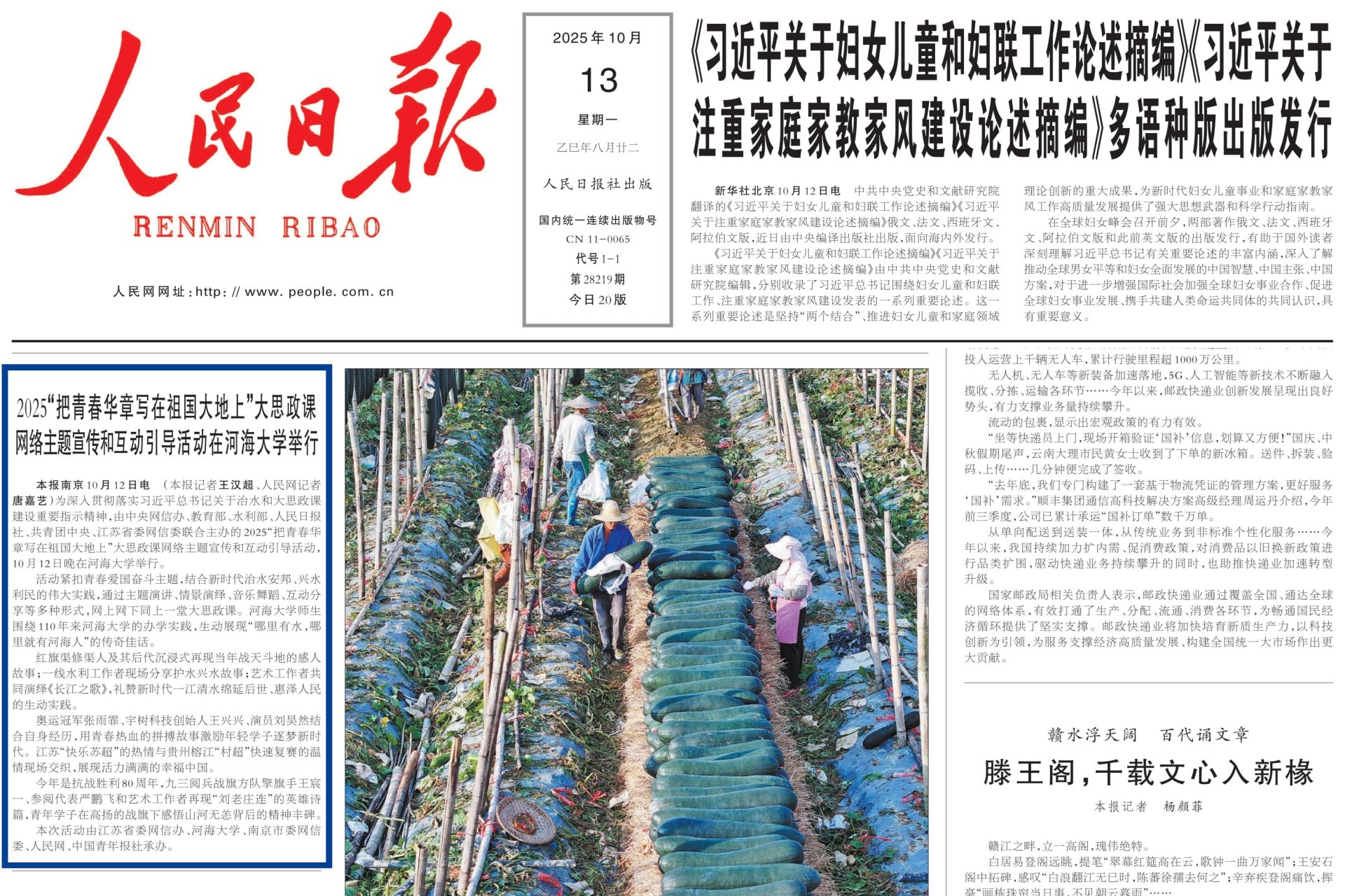 栏目用于追新